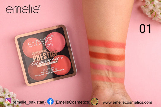 Professional Prestige Luminous Matte Blusher