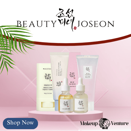 beauty of joseon makeup venture makeupventure.com