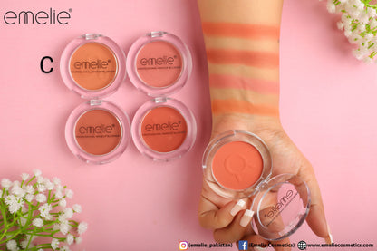 Professional Makeup Blusher - Pack of 4