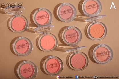 Professional Makeup Blusher - Pack of 4