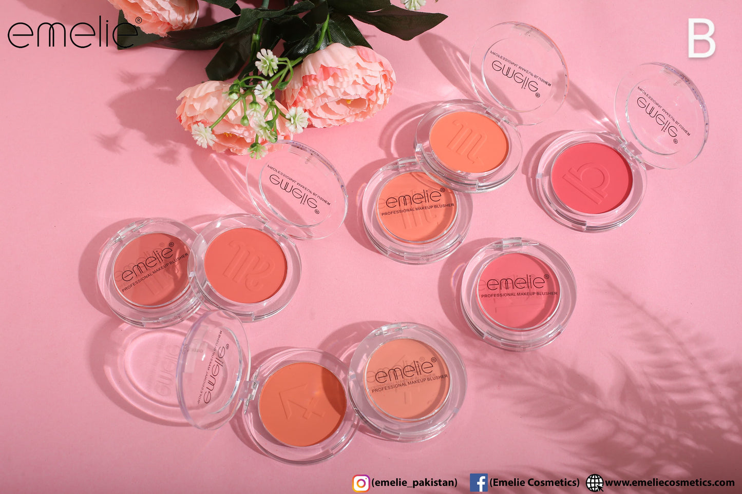 Professional Makeup Blusher - Pack of 4