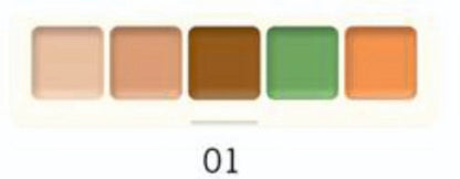 Premium Quality 5 IN ONE Base Concealer Palette Shade Concealer  (Multicolour - 01)